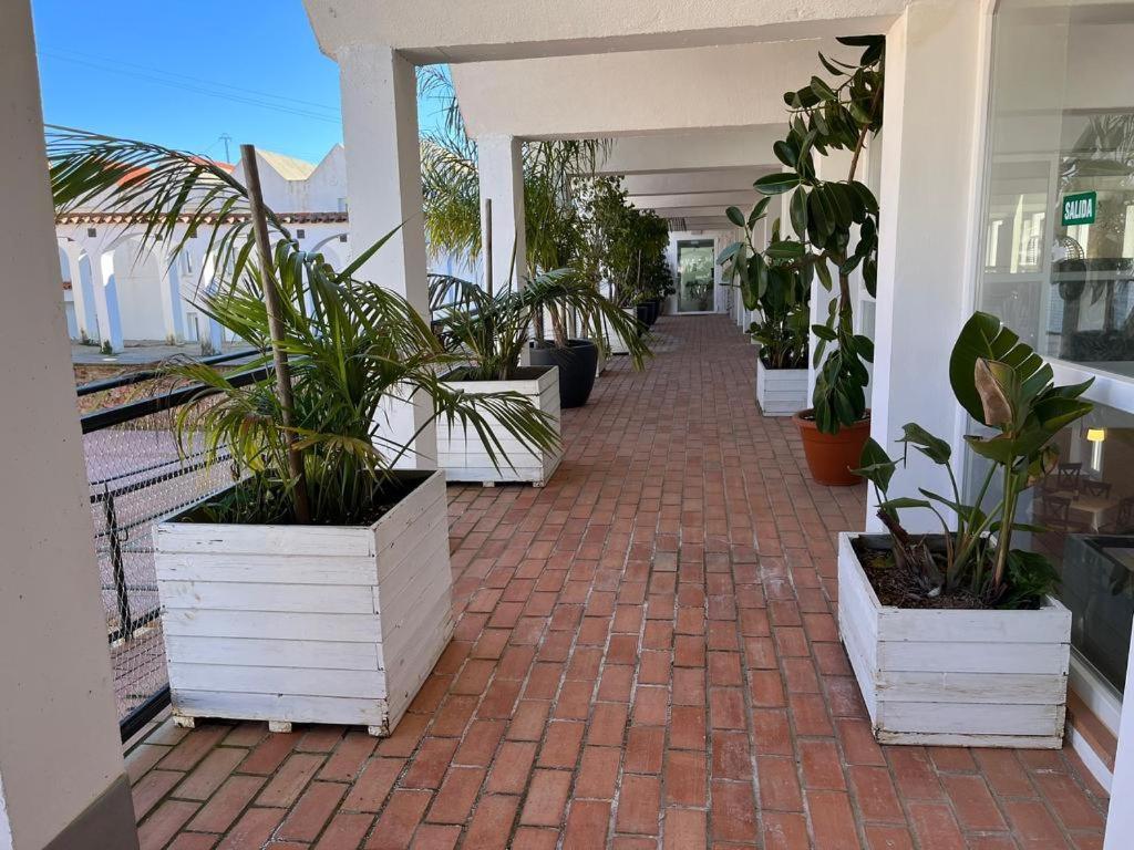 Hotel La Alcoholera Villaviciosa de Córdoba Eksteriør bilde
